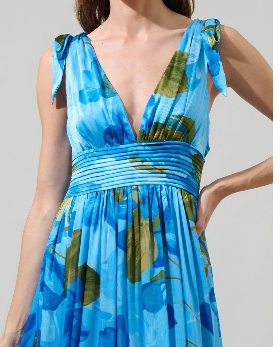 Neiva Floral Descanso Pleated Maxi Dress